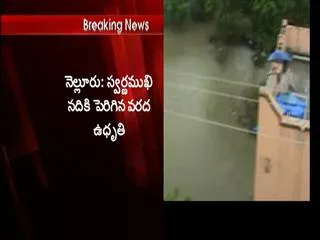 Heavy flood Water Flow in Swarnamukhi River - Sakshi