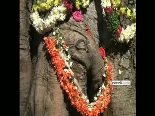 Lord Ganesh shape on Peepal tree at Shiva temple in Hyderabad - Sakshi