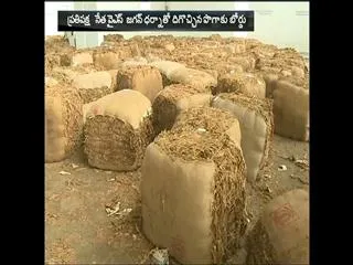 Government announce Ex gratia to tobacco farmers - Sakshi
