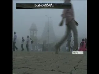 Patches in tirumala - Sakshi