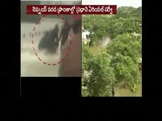 ' Some canceled , some diversion ' - Sakshi