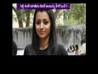 Trisha Krishnan Separated Before Marriage ? - Sakshi