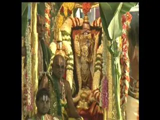 Lord Balaji rides Swarna Ratham - Sakshi