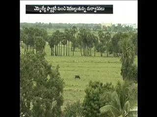 Potti Subbaiah Palem Villagepeople face problems with MLA Factory - Sakshi