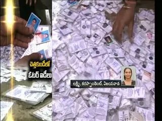 voter id cards in vijayawada city roads - Sakshi