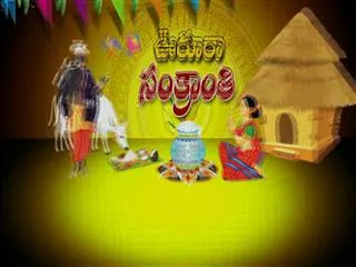 Ready to Cock Fight In West Godavari District - Sakshi