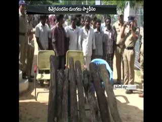 15 arrested for illegal transportation of red sandalwood logs - Sakshi