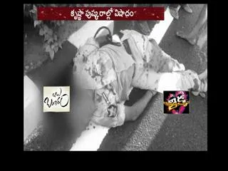 conistable died in road accident in krishna district - Sakshi
