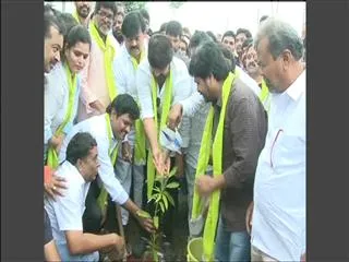 Tollywood stars for Haritha Haram Archives - Sakshi