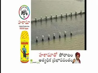 floods at adilabad district - Sakshi