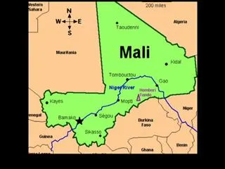 Suicide blast kills dozens at army base in Mali's Gao - Sakshi