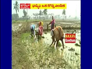 Private cultivation - Sakshi