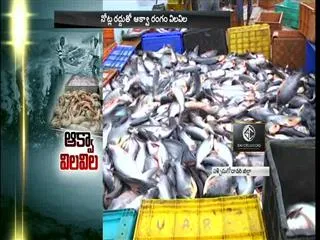 notes cancellation effect on aqua field - Sakshi