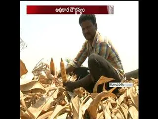 palm trees cut down from farm in amaravthi - Sakshi