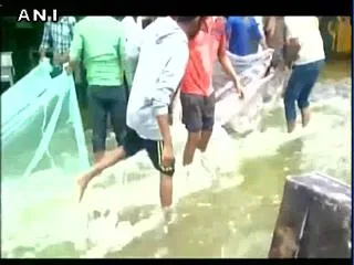 Bengaluru: Locals catch fish on streets as rains batter city - Sakshi