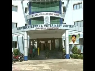 no improvement works in veterinary college - Sakshi