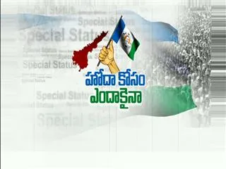 YSR CP under the auspices of the state bandh today - Sakshi