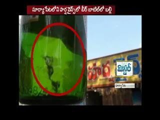 Lizard in  beer bottle at suryapet - Sakshi