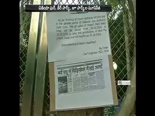 Delhi Zoo, Deer Park Shut Down As Bird Flu Strikes - Sakshi