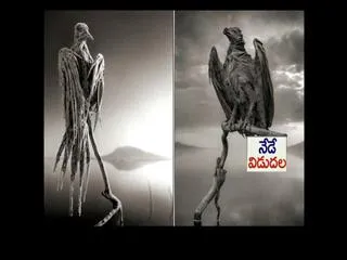 Five wonder locations in world, can't belief that - Sakshi