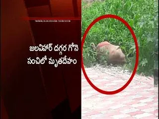 Dead body near jalvihar in hyderabad - Sakshi