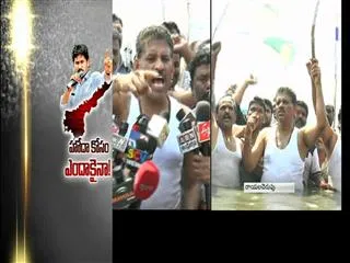 Chevireddy Bhaskar Reddy Support For Special Status Movement || Jala Deeksha - Sakshi