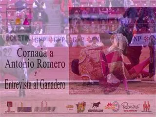 A bull’s 11-inch horn goes inside a bullfighter’s butt - Sakshi