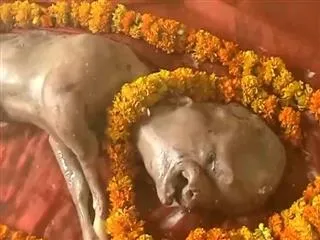 Calf born with ‘human facial features’ attracts crowds of villagers who worship it as Hindu god - Sakshi