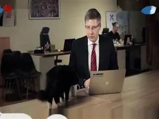 A Latvian Mayor Whose Cat Interrupted His Live Stream - Sakshi