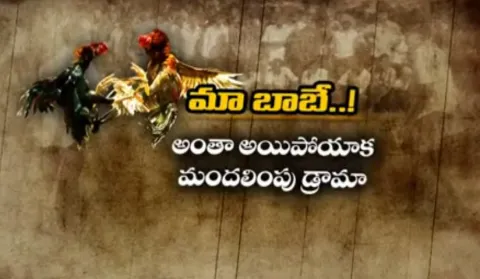 AP CM Comments on Cock Fightings - Sakshi