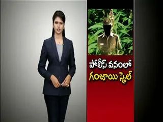ganjai case on police in west godavari - Sakshi