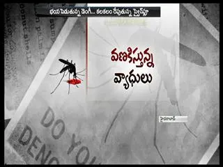 new diseases increase in hyderabad - Sakshi