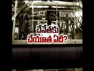 specail Edition on Handlooms - Sakshi