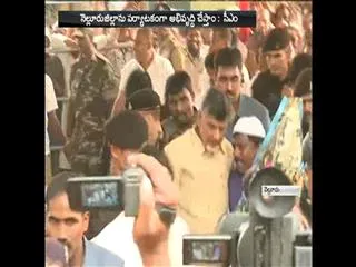 Ap Cm Chandrababu At Rottela Panduga Celebrations In Barashahid - Sakshi
