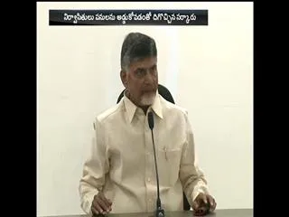 Chandrababu Naidu willing the government's failure - Sakshi