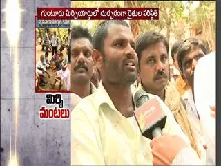 mirchi farmers request to ap cm chandrababu over Minimum Support Price - Sakshi