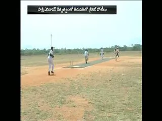 Sakshi Arena one Headed by the cricket matches in tirupati - Sakshi