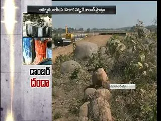 Dambar plants in Assigned lands In Nizamaba Dist - Sakshi