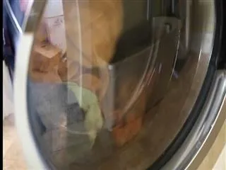 Toddler sisters found dead in washing machine - Sakshi