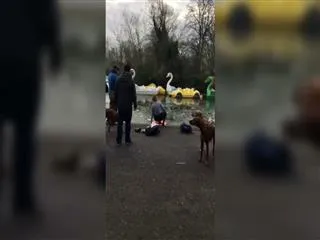 Woman Saves Dog From Freezing Pond - Sakshi