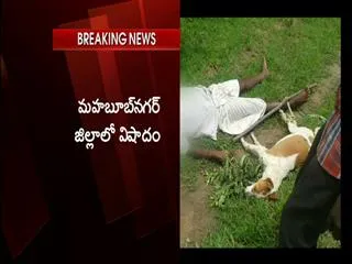 3 died due to current shock in mahabub nagar - Sakshi