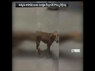 4 lakhs fine - Sakshi