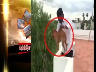 Pet dogs burnt alive by youth, recorded and uploaded in social media - Sakshi
