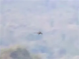 Is this proof dragons exist? Footage appears claiming to show mythical beast flying over Chinese mountain range - but is it all as it seems? - Sakshi