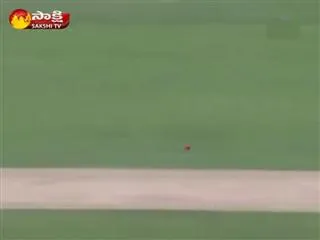 david warner bowled, in a shocking way - Sakshi