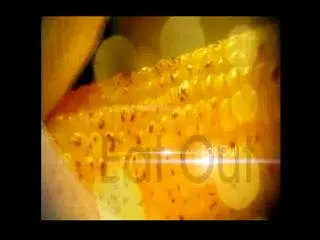 Eat Out 24th May 2017 - Sakshi