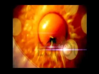 Eatout 23rd November 2016 - Sakshi