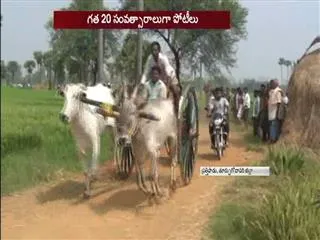 cattle competitions in East Godavari district - Sakshi