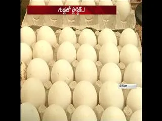 man arrested for selling Plastic eggs to woman in Kolkata - Sakshi