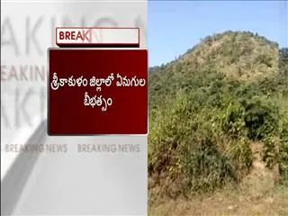 Tribal crushed to death by elephants - Sakshi
